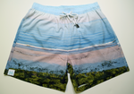 The Town Line drone bathing suit